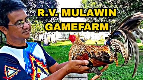 mulawin gamefarm price list